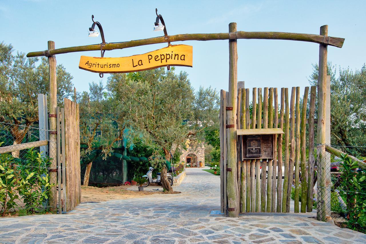 Agriturismo La Peppina Massa Lubrense Luaran gambar